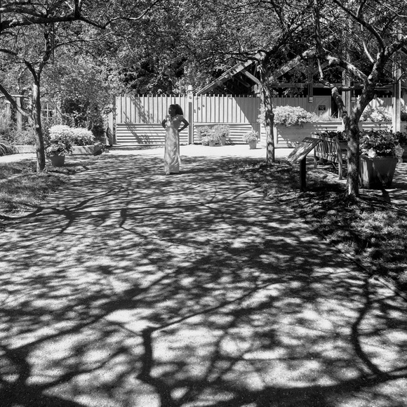 Meet your Posher, Nikki - Picture 2 of 6